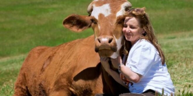 Seorang wanita memeluk sapi. (Foto: Veganfeministnetwork)